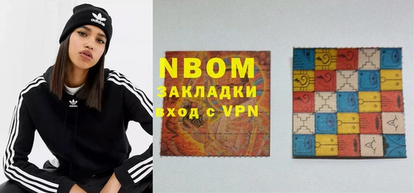стаф Алзамай