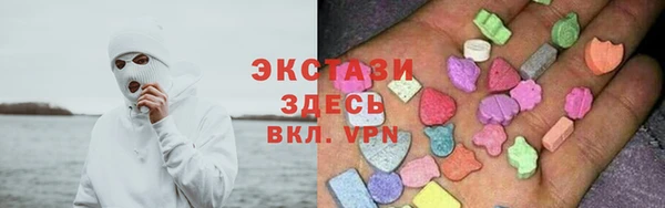 стаф Алзамай