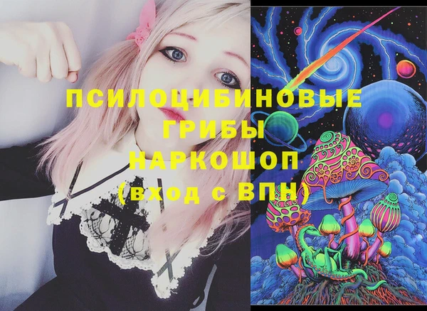стаф Алексеевка