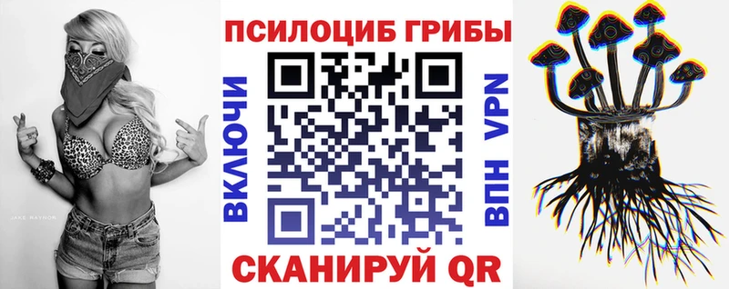 кракен ССЫЛКА  Неман  Галлюциногенные грибы Psilocybine cubensis 